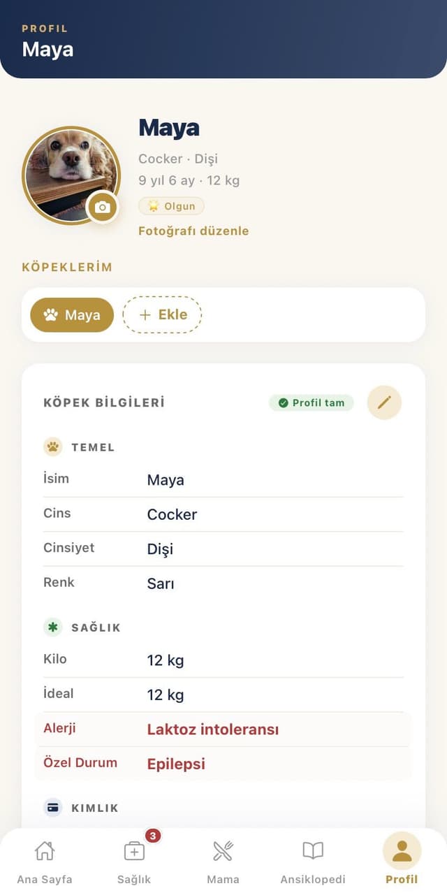 Köpek Profili