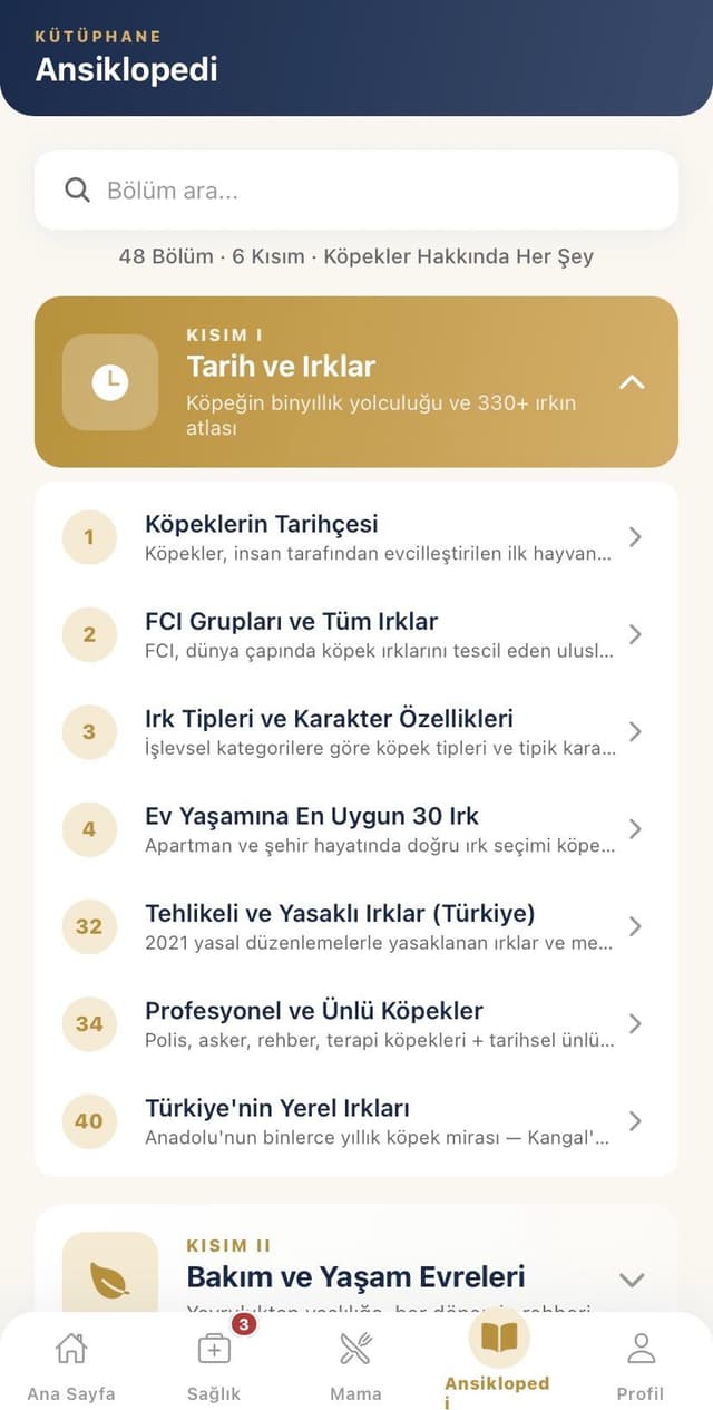 Ansiklopedi, Tarih