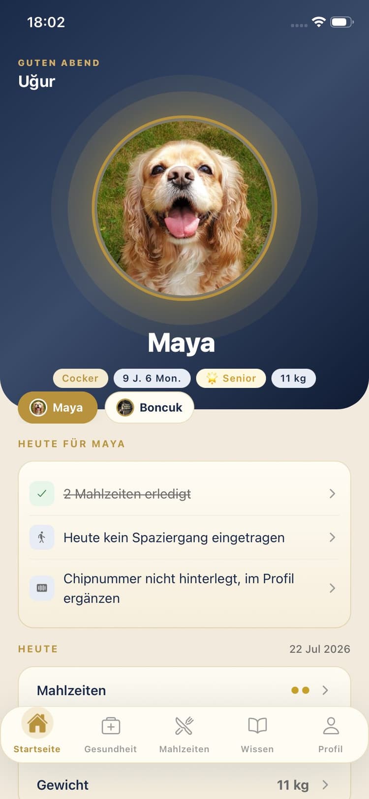 Maya-Pet-App-Screenshot