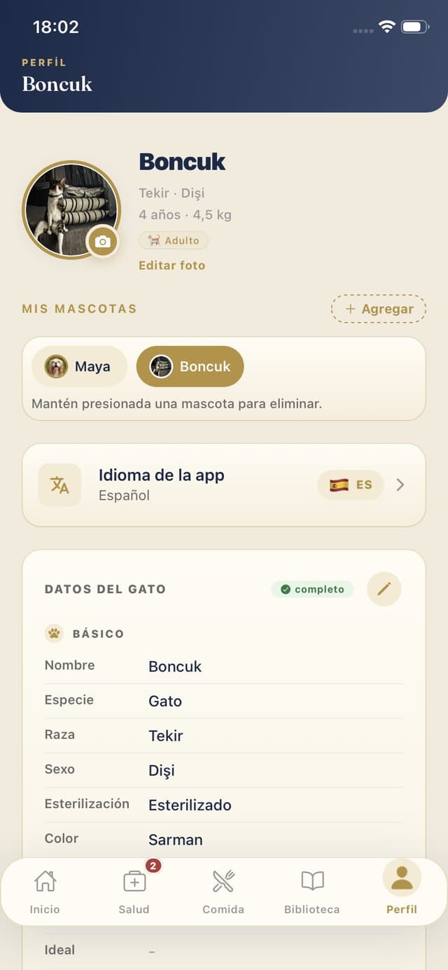 Perfil del gato