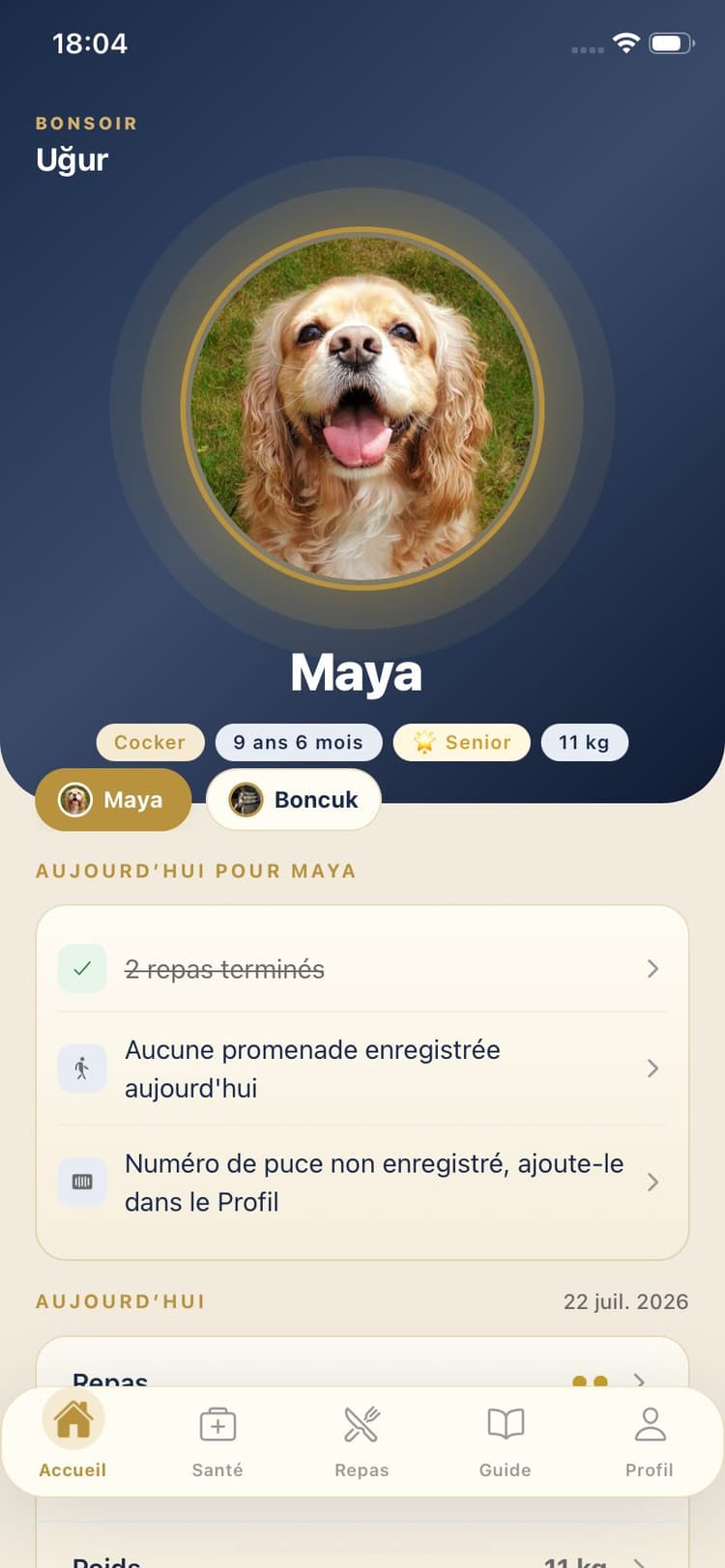 Capture d’écran de Maya Pet