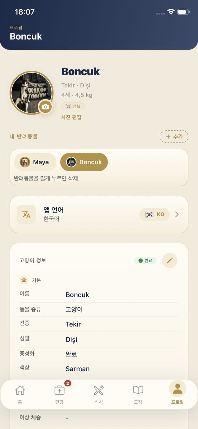 고양이 프로필