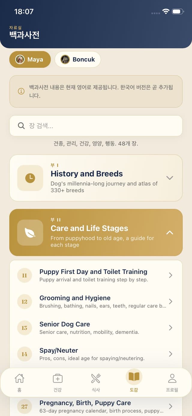 백과사전