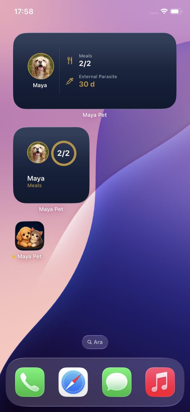 Widget