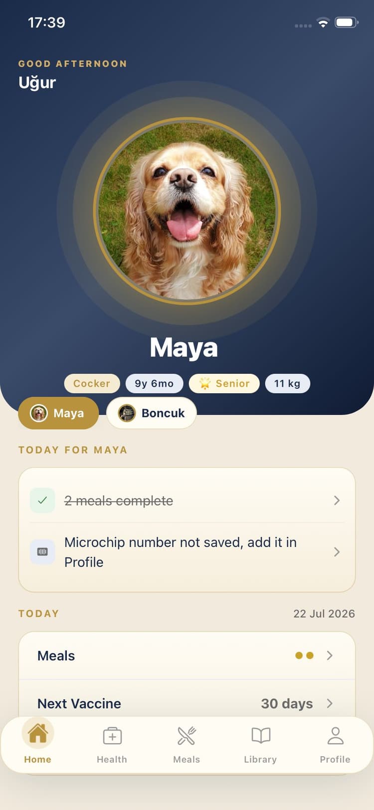 Maya Pet App Screen